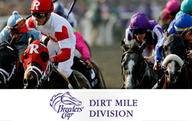 Breeders Cup Dirt Mile to take place this Saturday