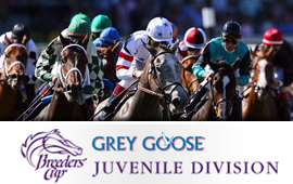 Breeders Cup Juvenile takes place this Saturday at Churchill Downs