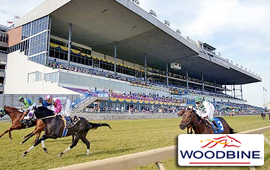 Silverleo favorite to win at Woodbine Racecourse