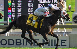 Court Vision has won the $1 million Woodbine Mile Stakes (Gr 1)