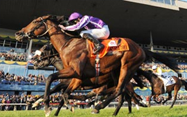 Joshua Tree won the Pattison International Stakes (Gr 1) on Saturday