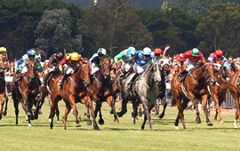 Golden Moka has won Prince of Wales Stakes in Canada