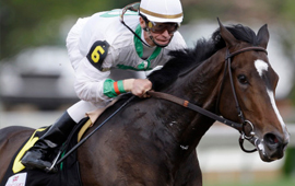 Rachel Alexandra to make next start in the Stephen Foster or Fleur de Lis next week