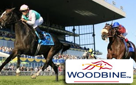 Woodbine Mile in Toronto takes place on Sunday