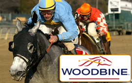 $63,500 Allowance takes place at Woodbine today