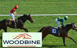 Shesadozer and Gin Queen races at Woodbine in Race 7 on Thursday