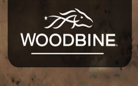 Pick your winners for Fridays races at Woodbine