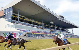 Gypsy Ring favourate to win at Woodbine Racecourse