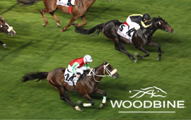 Woodbine allowance takes place this Thursday