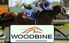 Woodbine Racecourse kicks off on Friday