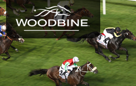 A rise in its total at Woodbine Racecourse this year