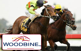 Friday at Woodbine Racecourse saw the start of the horse racing season