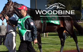 Pool Play has won the Valedictory Stakes at Woodbine Racecourse